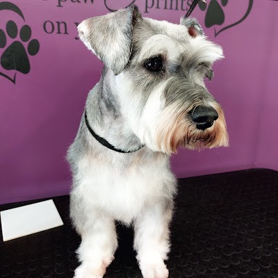 Grooming Van Image