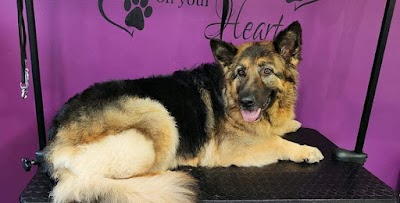 Grooming Van Image