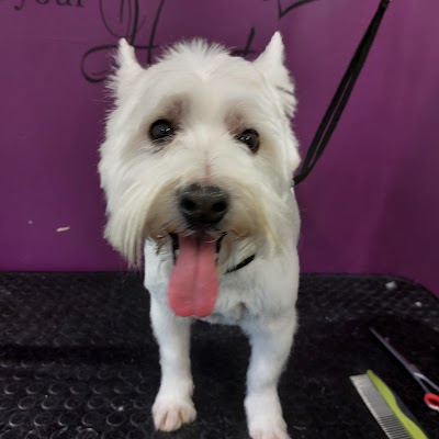 Grooming Van Image