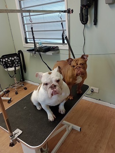 Grooming Van Image