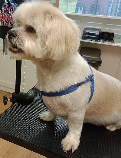 Grooming Van Image