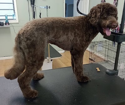 Grooming Van Image