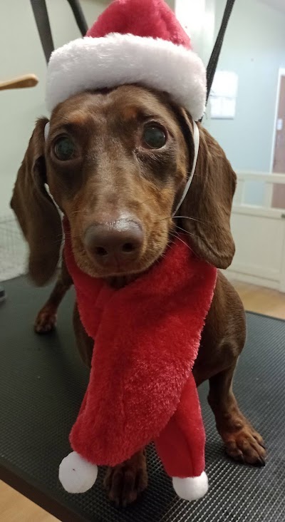 Grooming Van Image