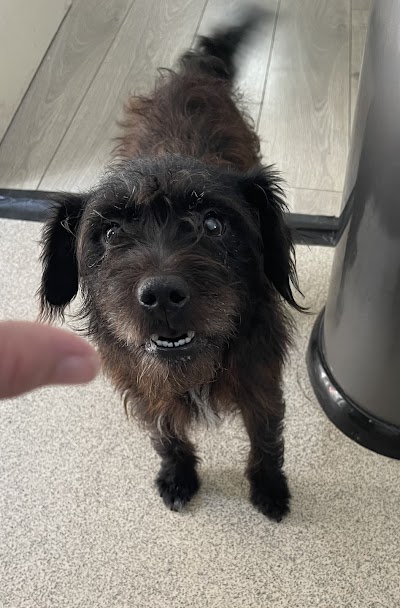 Grooming Van Image
