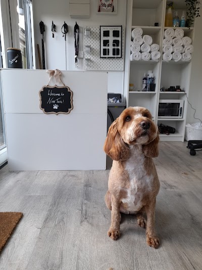 Grooming Van Image