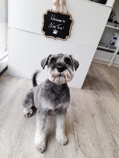 Grooming Van Image