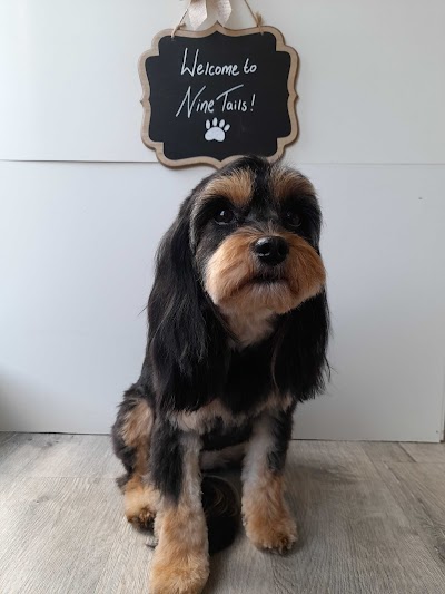 Grooming Van Image