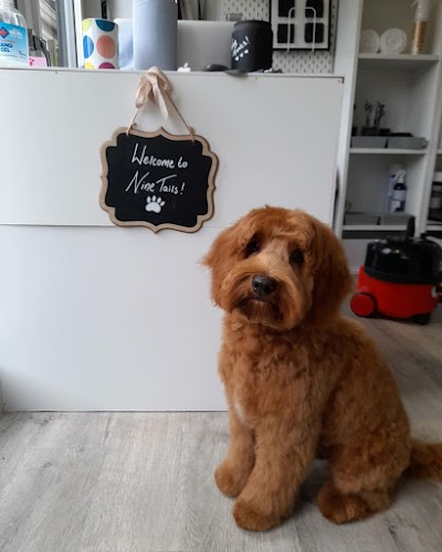 Grooming Van Image