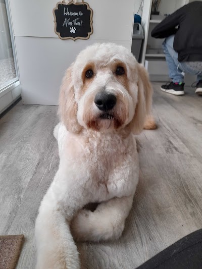Grooming Van Image