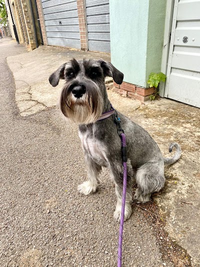 Grooming Van Image