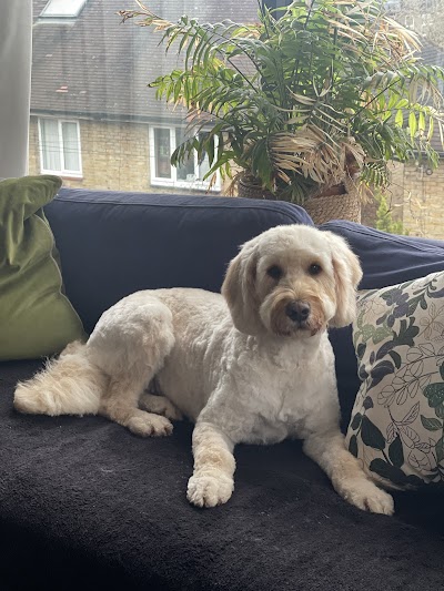 Grooming Van Image