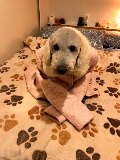 Grooming Van Image