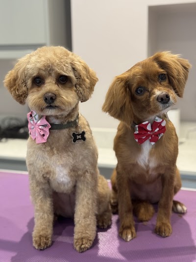Grooming Van Image