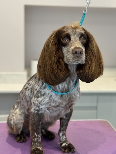 Grooming Van Image