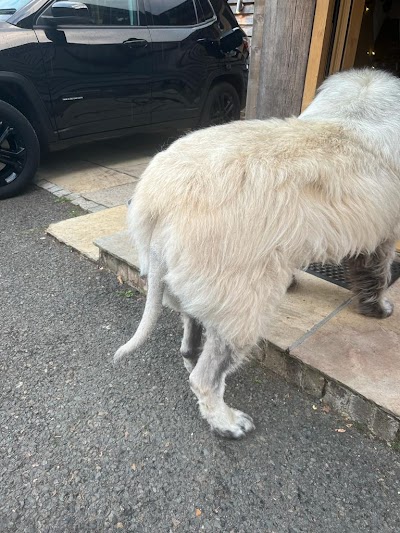 Grooming Van Image
