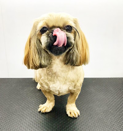 Grooming Van Image