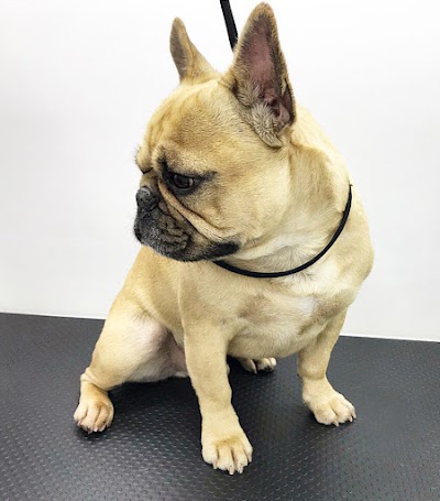 Grooming Van Image