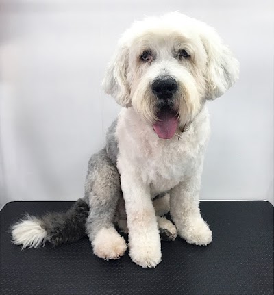 Grooming Van Image