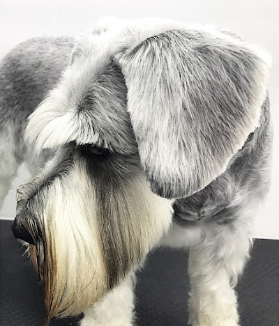 Grooming Van Image