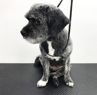 Grooming Van Image
