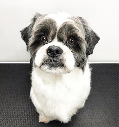 Grooming Van Image