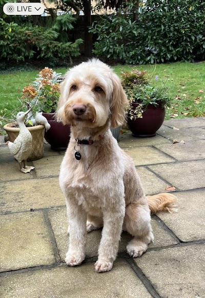 Grooming Van Image
