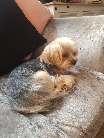 Grooming Van Image