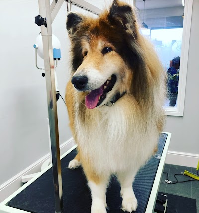 Grooming Van Image