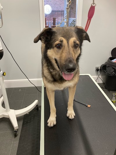 Grooming Van Image