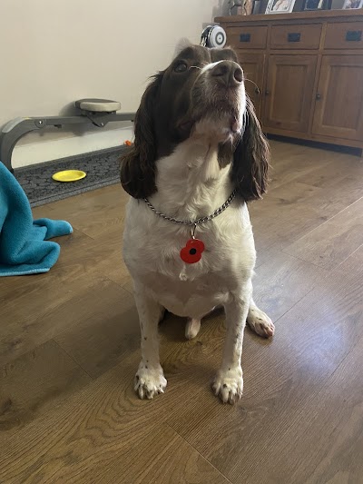 Grooming Van Image