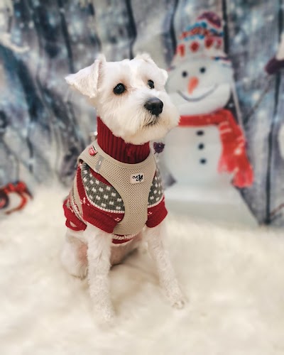 Grooming Van Image
