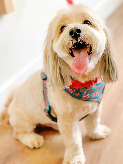 Grooming Van Image
