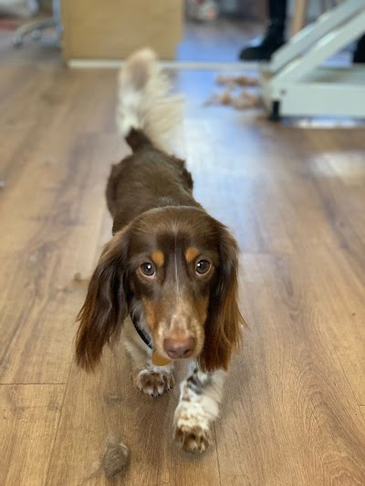 Grooming Van Image
