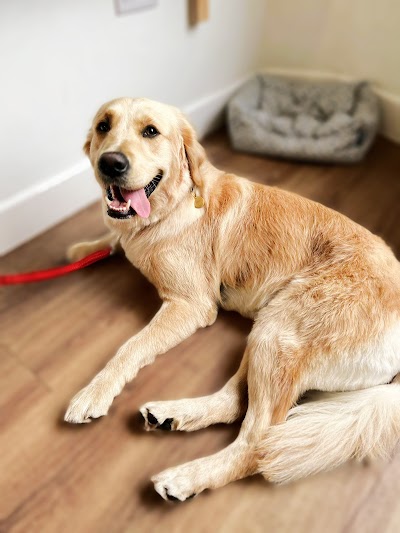 Grooming Van Image