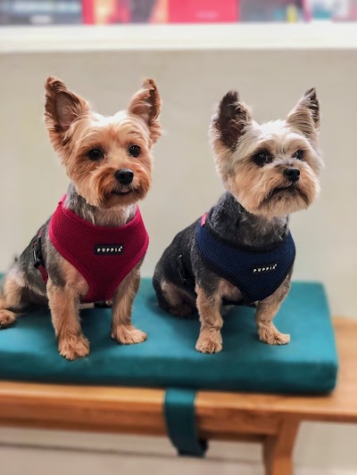 Grooming Van Image