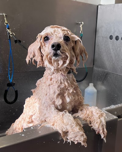 Grooming Van Image