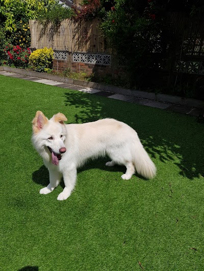 Grooming Van Image