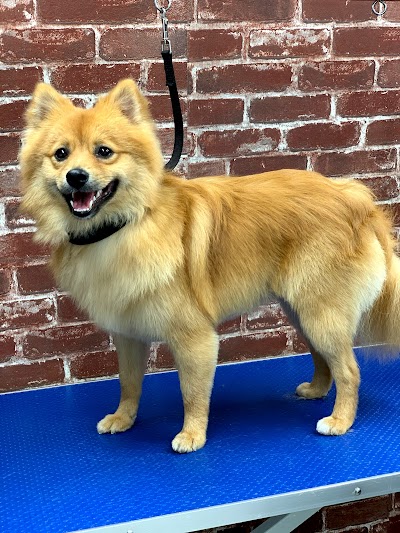 Grooming Van Image