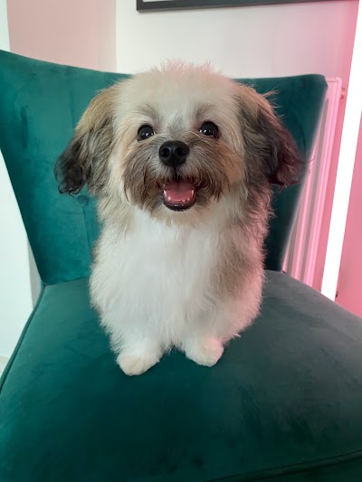 Grooming Van Image