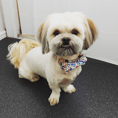 Grooming Van Image