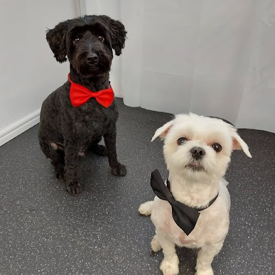 Grooming Van Image