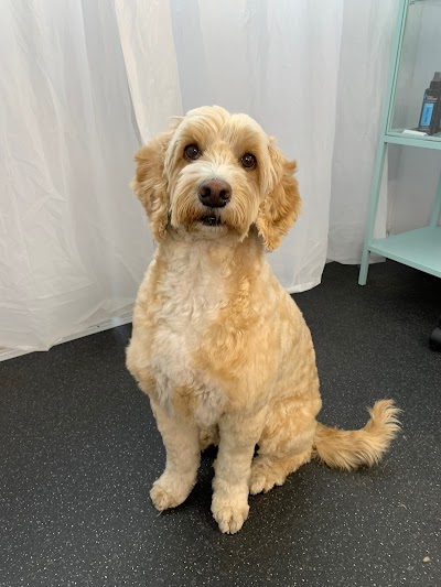 Grooming Van Image