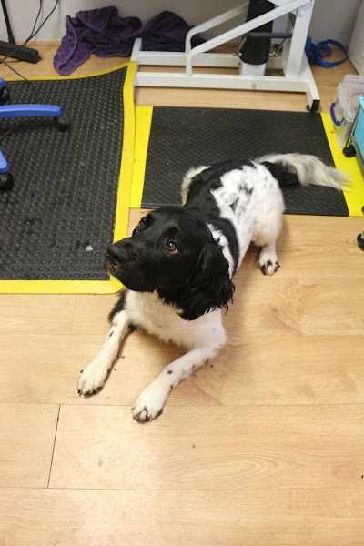 Grooming Van Image