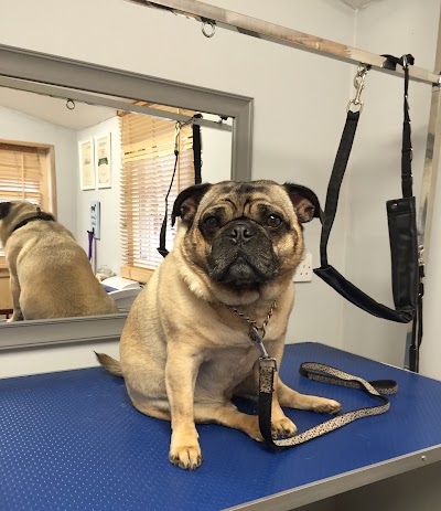Grooming Van Image