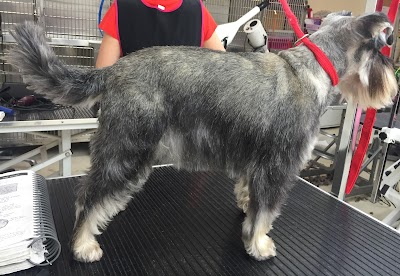 Grooming Van Image
