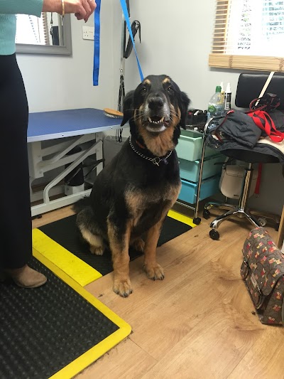 Grooming Van Image