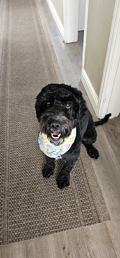 Grooming Van Image