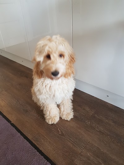 Grooming Van Image
