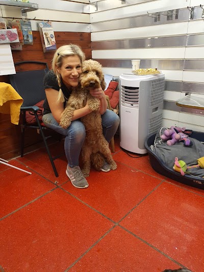 Grooming Van Image