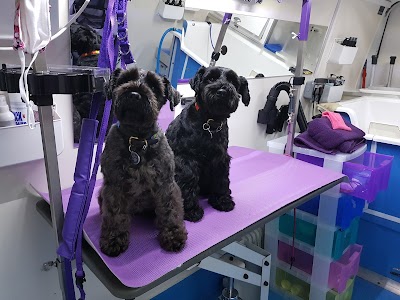 Grooming Van Image